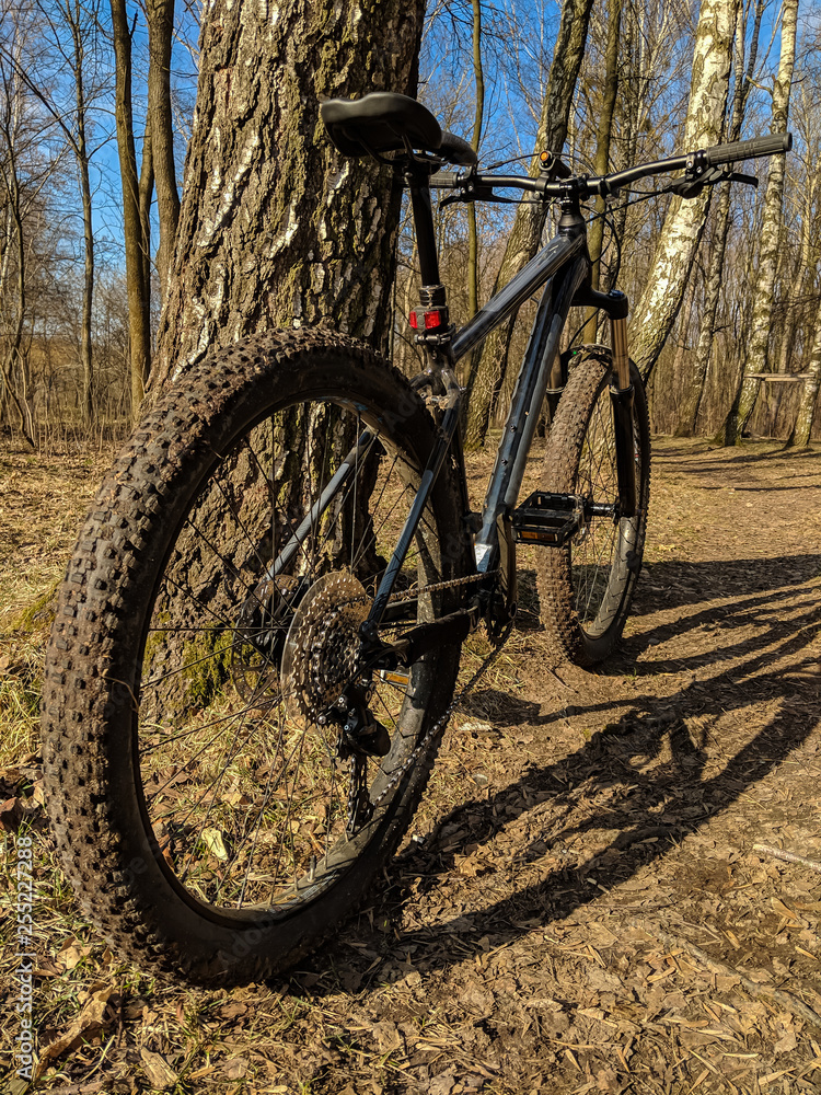 Fototapeta premium MTB bicycle on the trail in the spring season