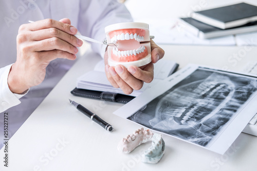 фотографія Dentist hand holding of jaw model of teeth and cleaning dental with dental tool