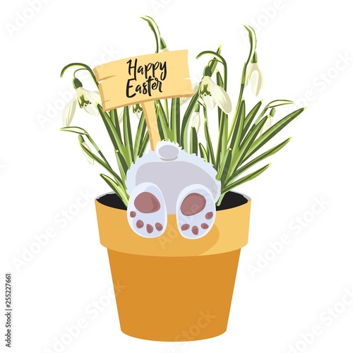 Spring Happy Easter design element, bunny in pot with grasses, snowdrops flowers, isolated on a white background.