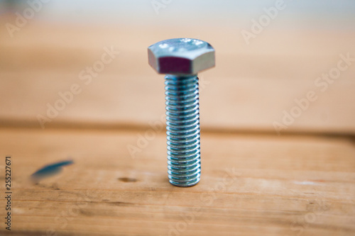 Bolt on the wood ground