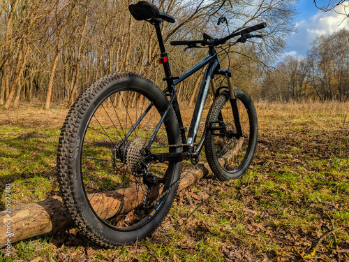 MTB bicycle on the trail in the spring season © thaarey1986