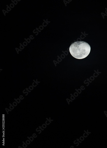 full moon in the sky © Vitor