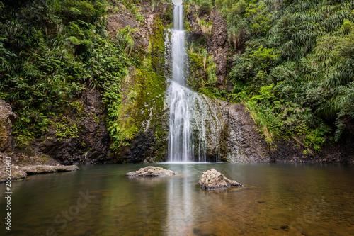 Kite Kite Waterfalls framed by jungle near Piha  New zealand