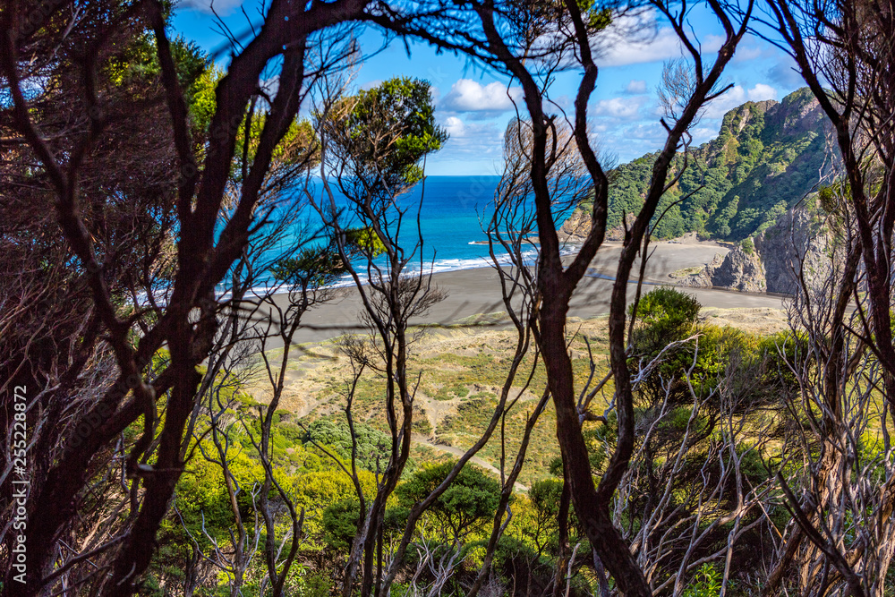 KereKere-Piha Beach, Viewpoint through the dense jungle, New Zealand KereKere-Piha Beach, Viewpoint through the dense jungle, New Zealand