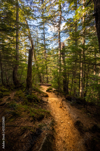 View of the trail to Mt. Roberts Trailhead from Juneau, Alaska.  © DiegoRussoPh