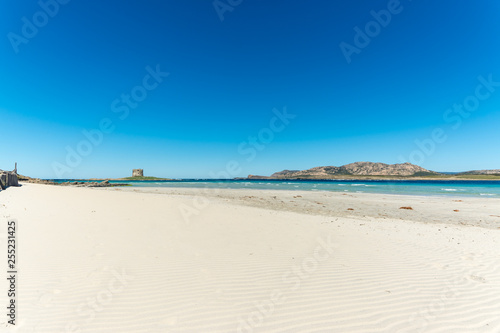 landscape of La Pelosa beach in a sunny day