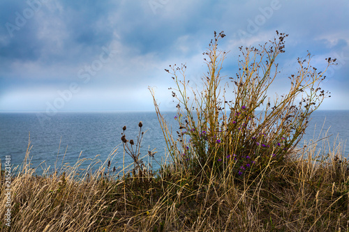 Denmark  Fyn Island  View on the Baltic Sea  Fyns Hoved