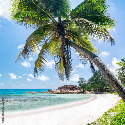 Fototapeta Naklejka Na Ścianę i Meble -  Tropische Insel mit Palmenstrand am Meer