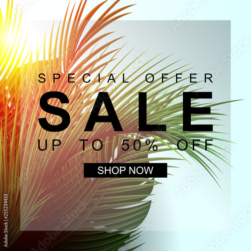 Summer sale background with palm leaf. Special offer. Sale up to 50% off. Nature background with sunshine.