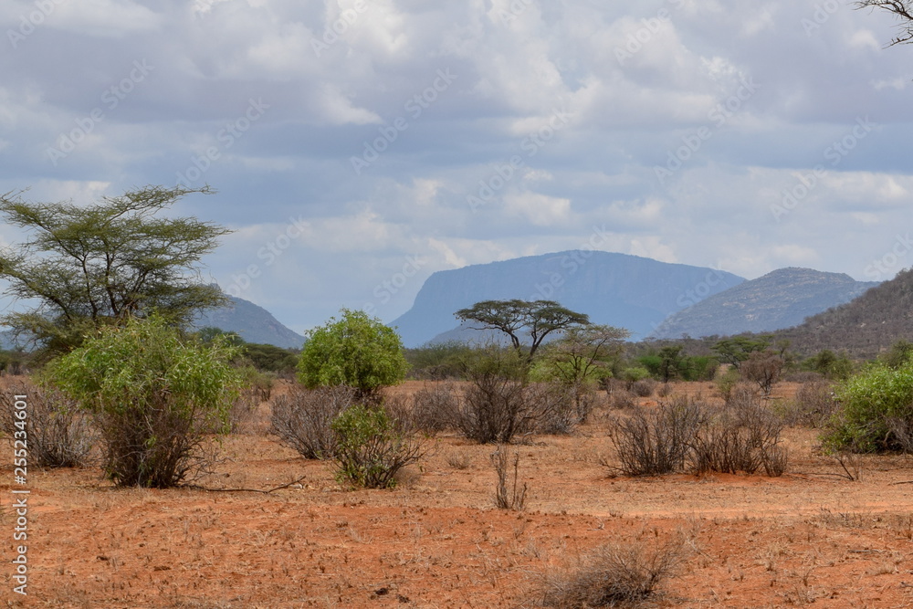 The arid landscape against a mountain background, Samburu, Kenya