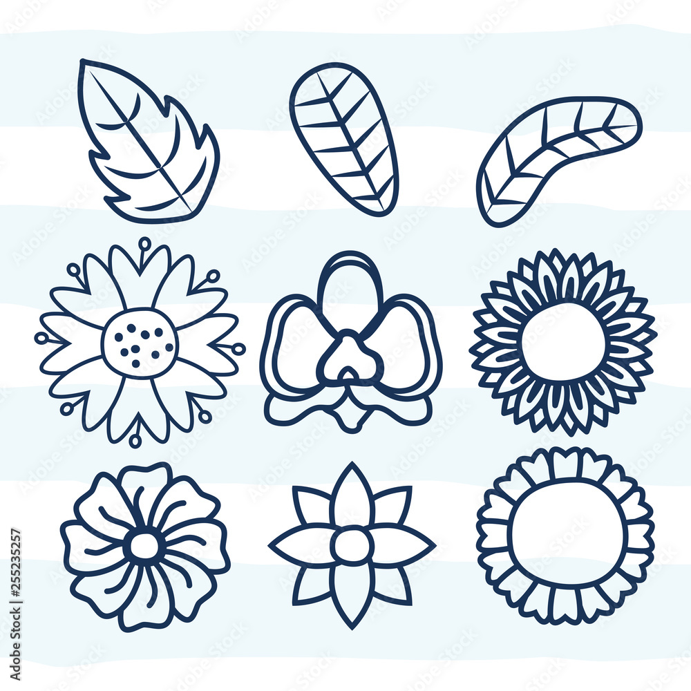 flowers leaves flora flowers leaves flora