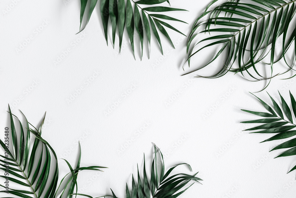 Summer composition. Tropical palm leaf on pastel gray background. Summer concept. Flat lay, top view, copy space