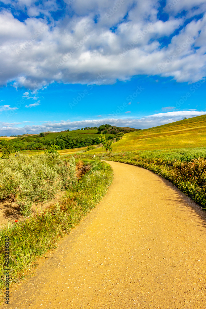 Unpaved country road on the Way of St. James, Camino de Santiago between Los Arcos and Sansol in Navarre, Spain, sunny May day Unpaved country road on the Way of St. James, Camino de Santiago between Los Arcos and Sansol in Navarre, Spain, sunny May day