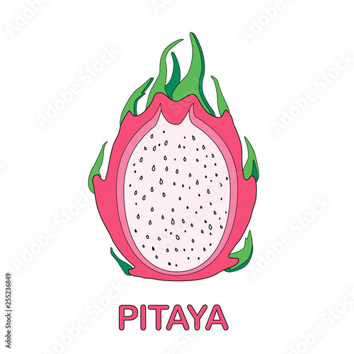 Pitaya Dragon Fruit
