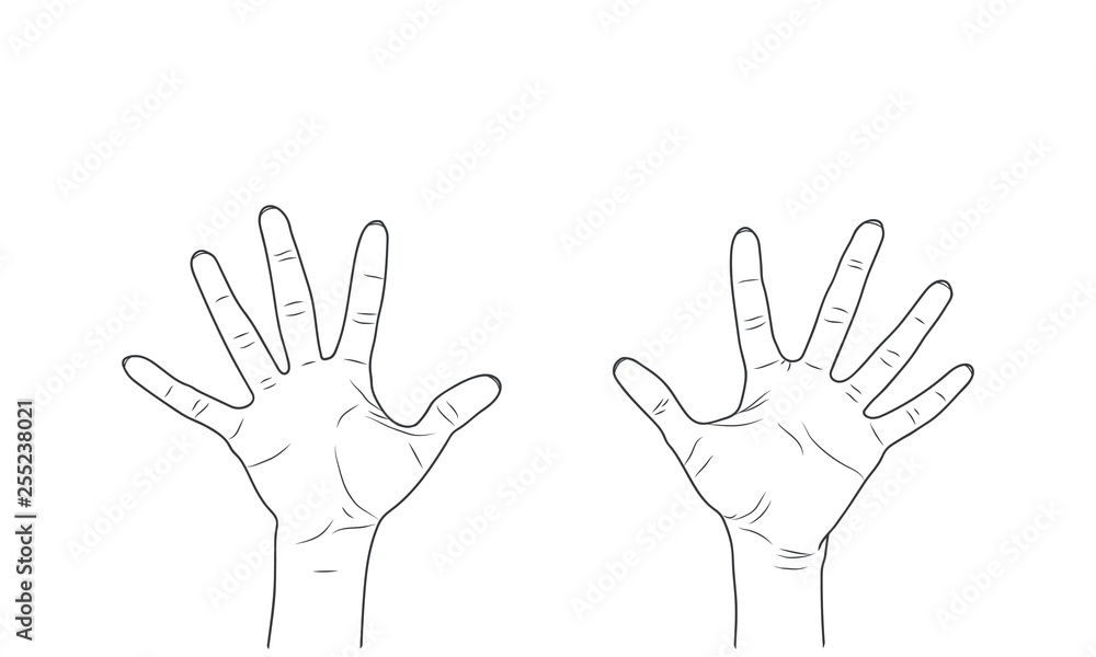Vector sketch illustration - women's hands. - obrazy, fototapety, plakaty 