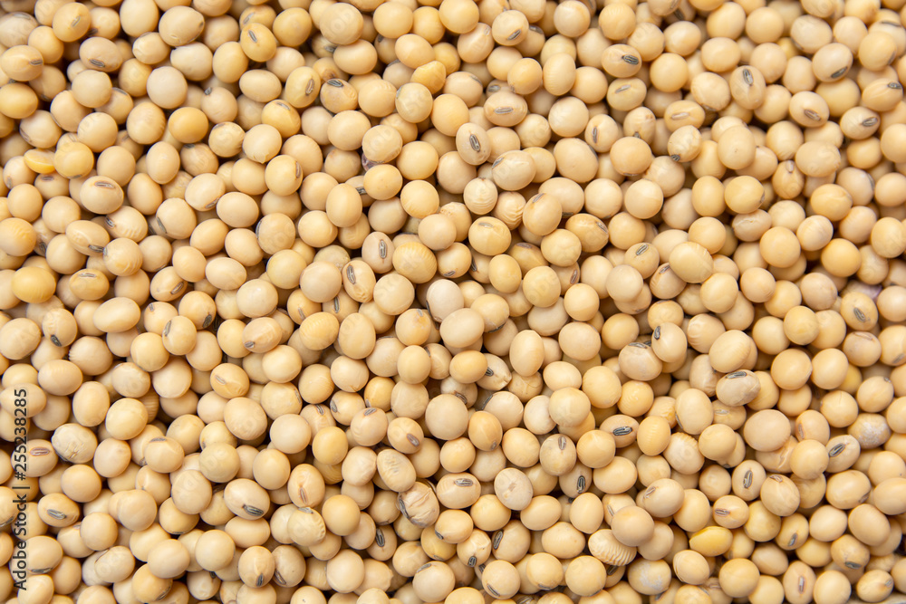 close up soybean pattern as background close up soybean pattern as background