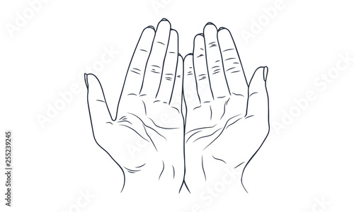 Vector sketch illustration - women's hands.