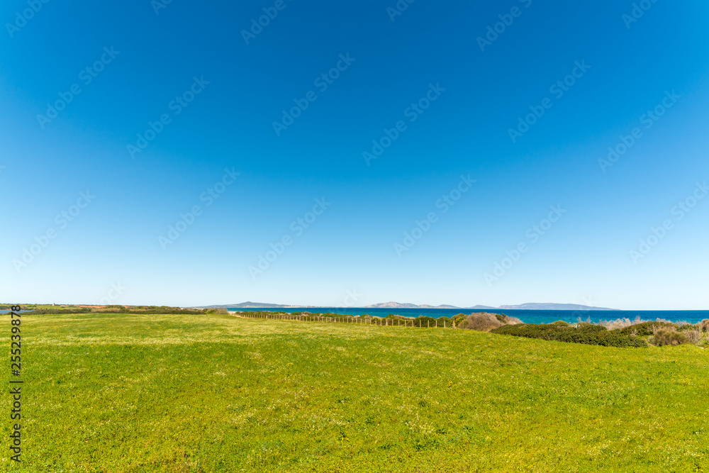 landscape of meadow near the beach