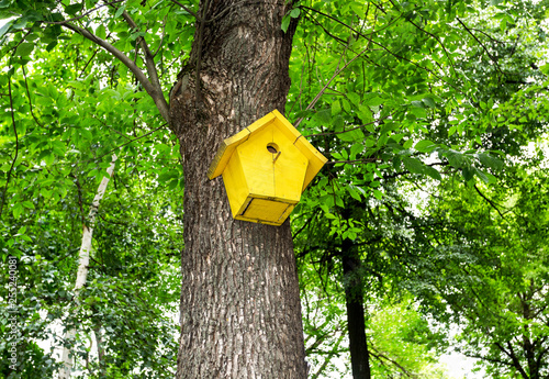 Wooden birdhouse affixed to a tree trunk