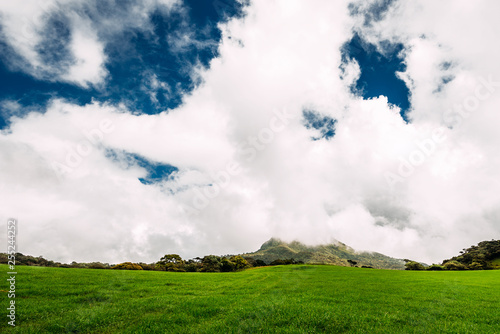 Lush green meadow under beautiful sky. Green meadow under the blue skies. Beauty nature background. Cattle pasture. The beautiful nature of Sri Lanka. Spring grass. Alpine grassland. Alpine pasture