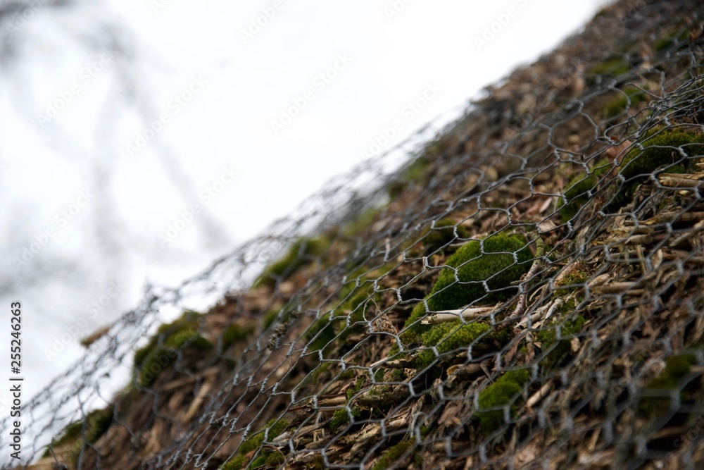 Wire mesh over moss, bark, reeds and twigs - close up thatch roof Wire mesh over moss, bark, reeds and twigs - close up thatch roof