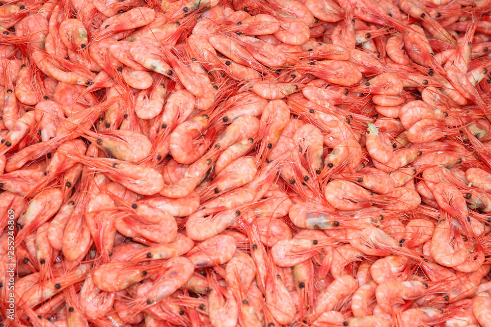 Shrimps Shrimps