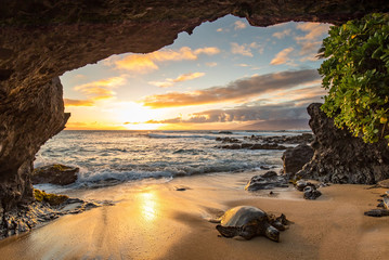 Keuken achterwand Cathedral Cove Schildpadden zwemmend in een grot  © Drew