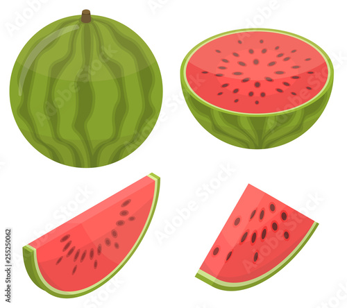 Watermelon icons set. Isometric set of watermelon vector icons for web design isolated on white background