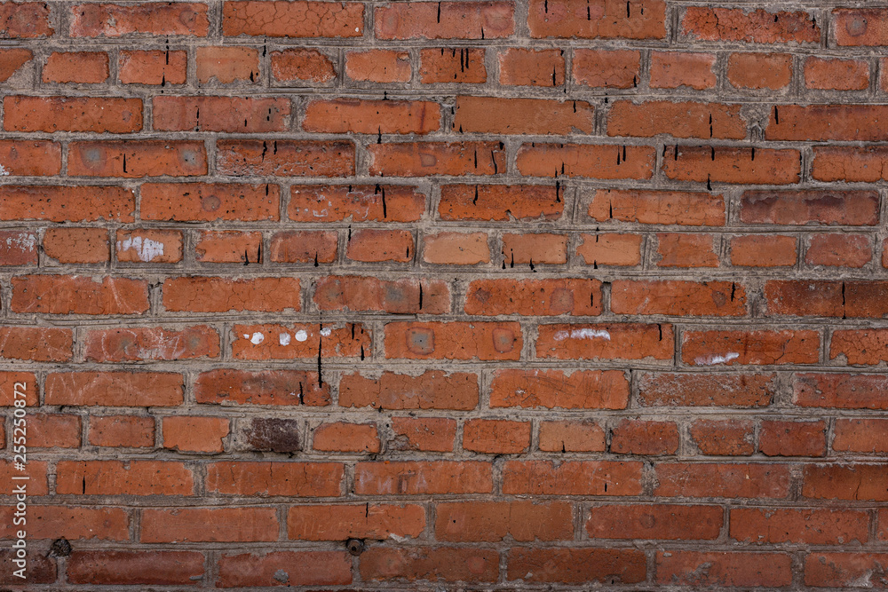 Naklejka premium red brick wall texture