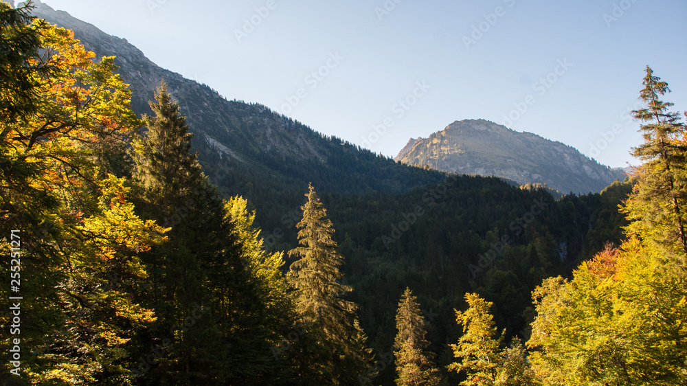 Alpen mit Bäumen im Vordergrund