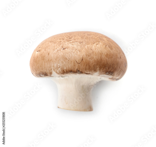 Fresh raw champignon mushroom on white background, top view