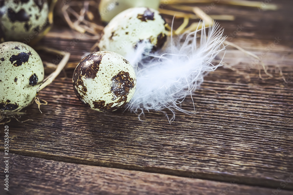 quail and chicken eggs on an old wooden table. quail and chicken eggs on an old wooden table.