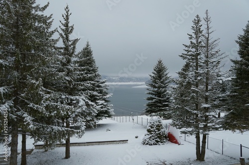  Mavrovo lake in winter in Macedonian republic, fir trees photo