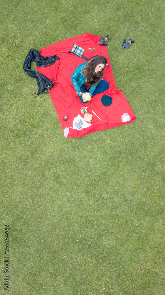 Gorgeous Latina student picnicking in the park, aerial view, available space for editing