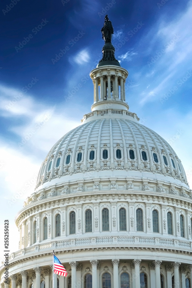 Obraz premium Washington DC - US Capitol building