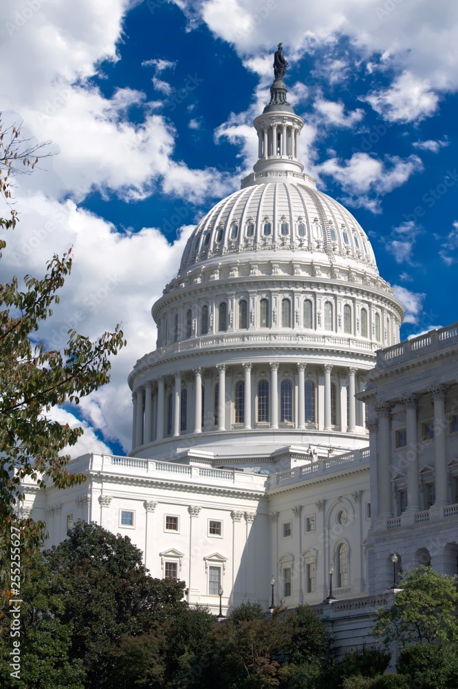 Naklejka premium Washington DC - US Capitol building