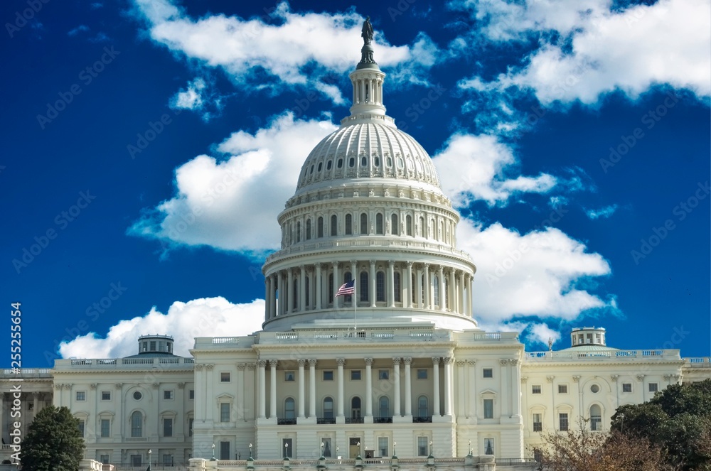 Naklejka premium Washington DC - US Capitol building