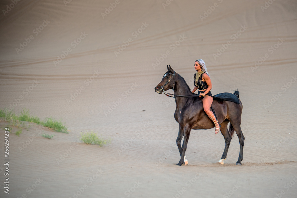 Arabian horse, a girl, and the desert Arabian horse, a girl, and the desert