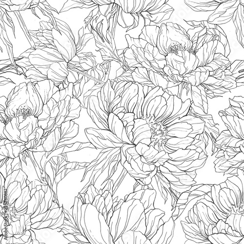 Fototapeta Naklejka Na Ścianę i Meble -  seamless pattern with hand drawn illustrations of peony flowers. floral line art drawing. Use for background, scrapbooking, textiles, paper, cards, invitations, wedding.