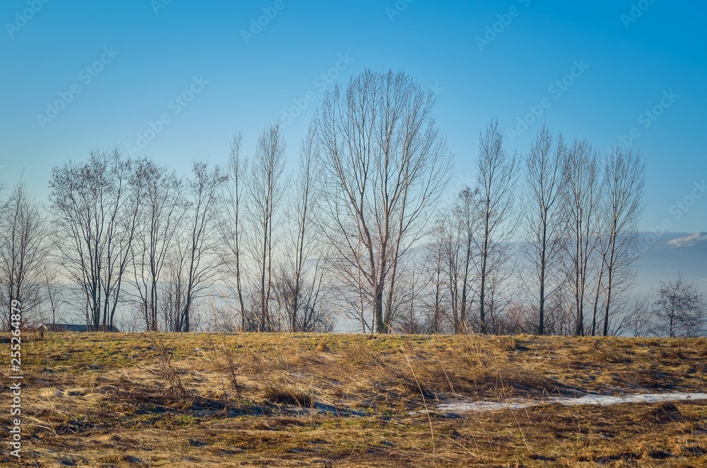 Beautiful rural mountain landscape. A glade with a view of trees. Beautiful rural mountain landscape. A glade with a view of trees.