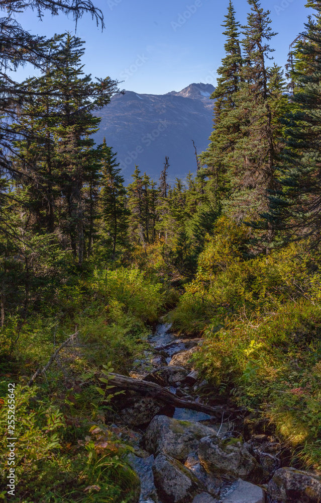 View from trail to lower and upper Dewey lake, Starting from Skagway Alaska View from trail to lower and upper Dewey lake, Starting from Skagway Alaska