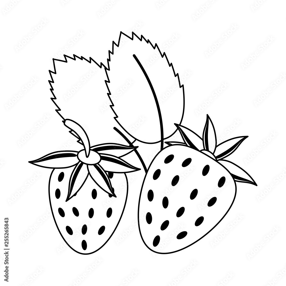 Fototapeta premium strawberries fruit fresh food in black and white