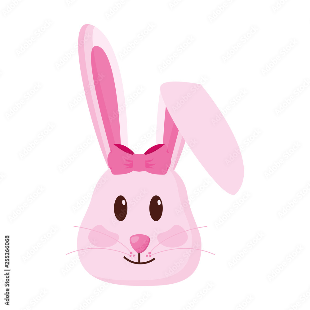 cute rabbit face cute rabbit face