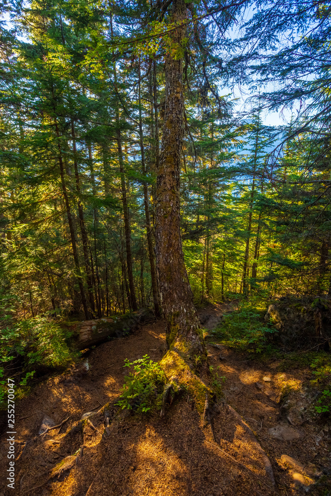 Views from the trail to lower and upper Dewey Lake, Starting from Juneau, Alaska. 
