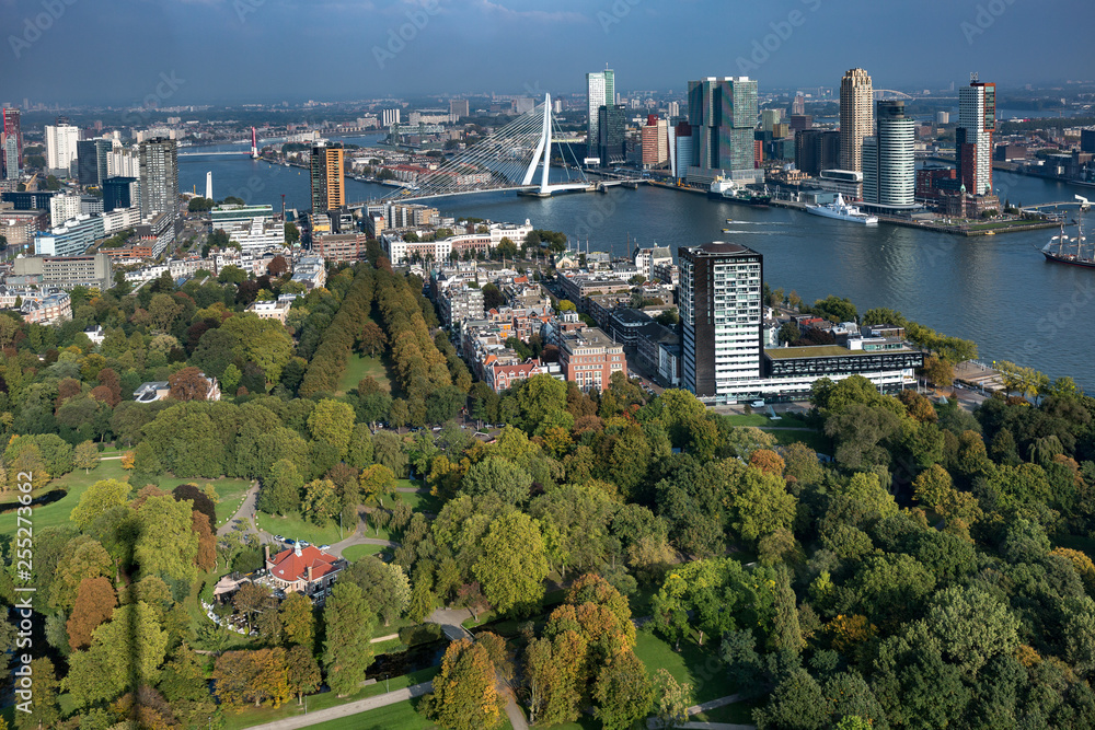 Obraz premium Cityscape of Rotterdam, The Netherlands, with the city park in the foreground and financial district and city centre including the famous Erasmus bridge in the background