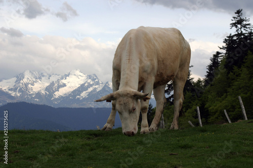 Au col d'Aspin