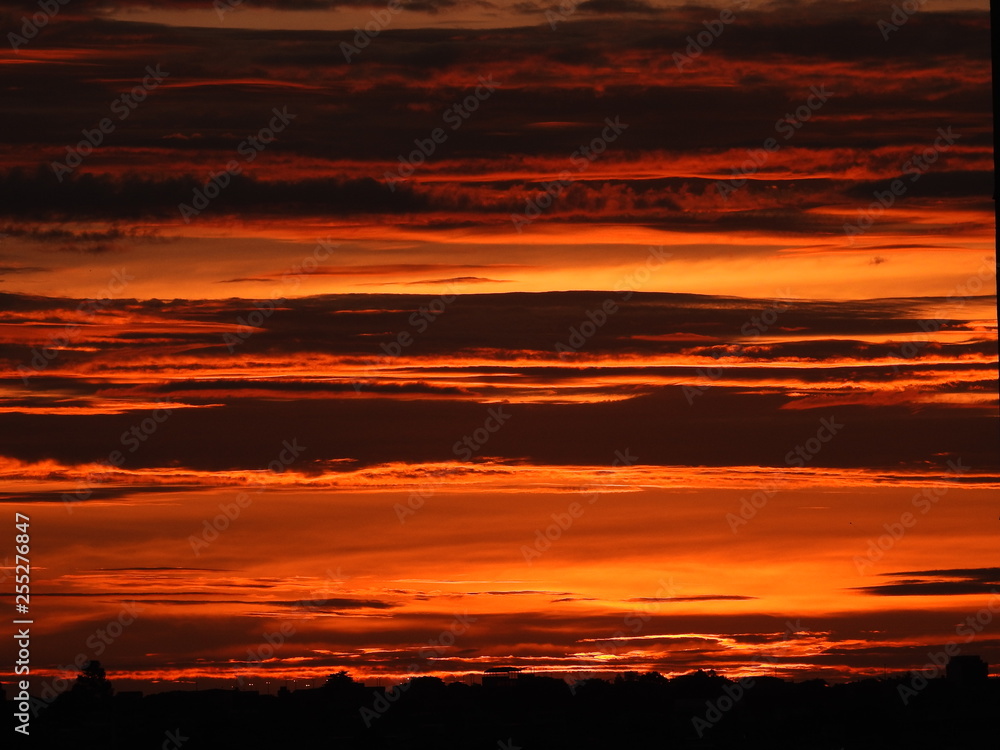 Fototapeta premium Uma forma de beleza
