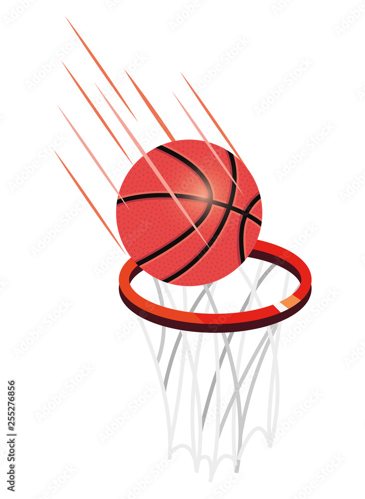 basketball sport design