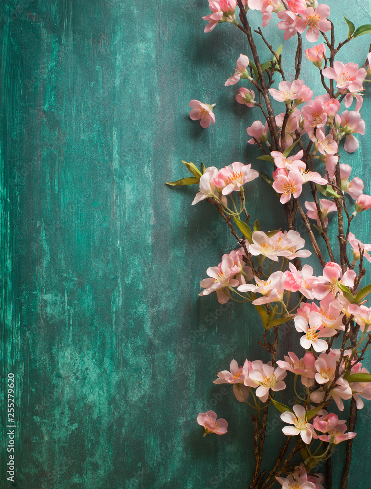 Fototapeta Cherry blossoms on rustic green background.
