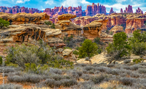 Needles District photo